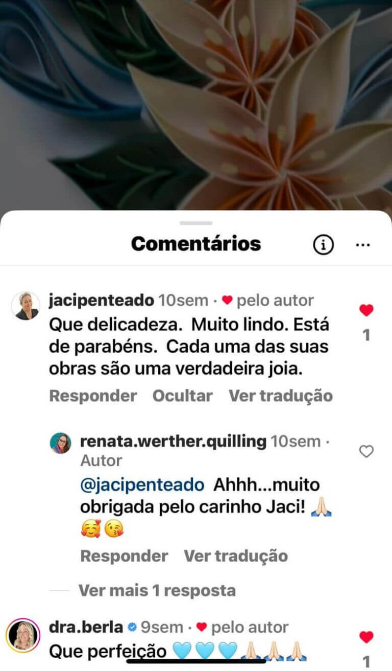 depoimento-renata-werther (3)